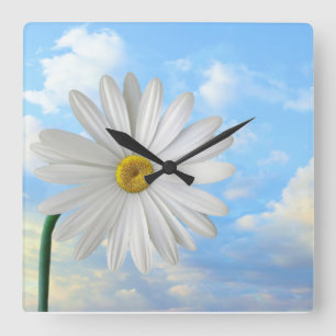 Acrylic Wall Clock