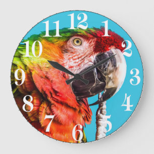 Acrylic Wall Clock