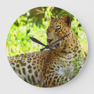 Acrylic Wall Clock