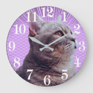 Acrylic Wall Clock