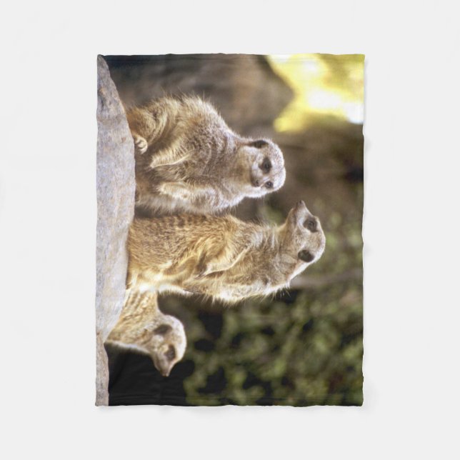 Act Natural Meerkats Fleece Blanket (Front)