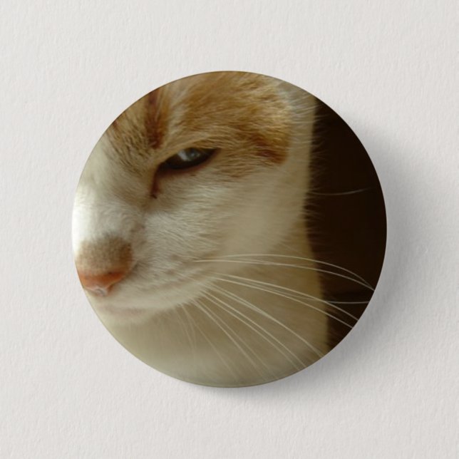 acting cat 6 cm round badge (Front)