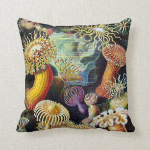 Actiniae by Ernst Haeckel Cushion
