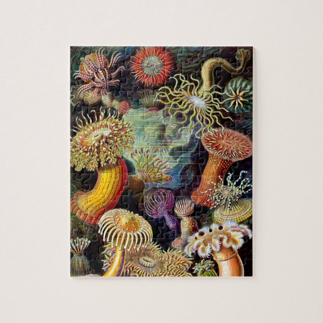 Actiniae by Ernst Haeckel Jigsaw Puzzle (Vertical)