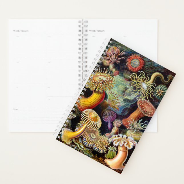 Actiniae by Ernst Haeckel Planner (Display)