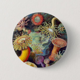 Actiniae illustration painting Germa Ernst Haeckel 6 Cm Round Badge