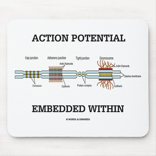 Action Potential Embedded Within (Cell Junctions) Mouse Pad (Front)