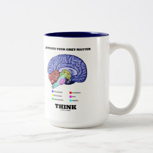 Activate Your Grey Matter Think Anatomical Brain Two-Tone Coffee Mug