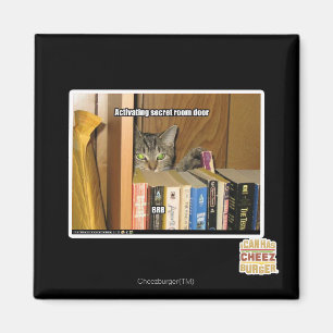 Activating Secret Room Door Magnet