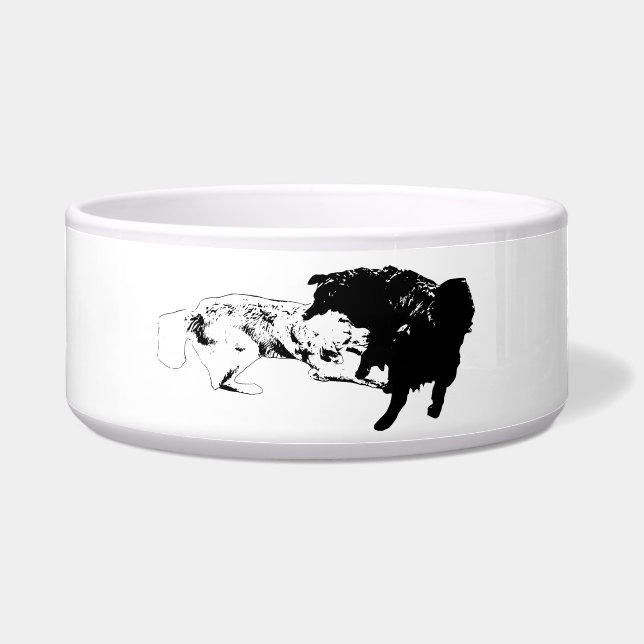 Active Meal, Bold Pet Bowl (Front)