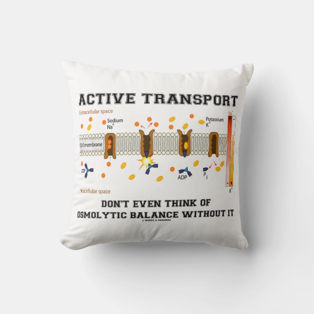 Active Transport Don't Think Of Osmolytic Balance Cushion (Front)