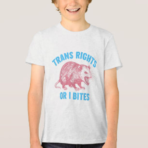 Activist Lgbtq Transgender Equality Trans Rights O Tri-Blend Shirt