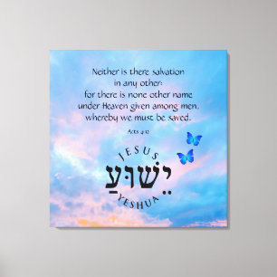 Acts 4:12 canvas print