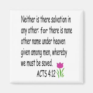 ACTS   4:12 magnet