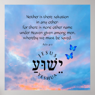 Acts 4:12  poster
