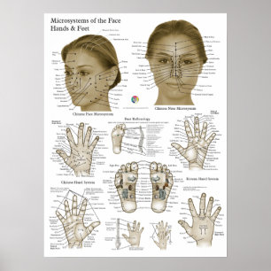Acupressure Points Face Hand Feet Poster