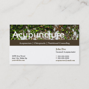 Acupuncture Business card appointment card