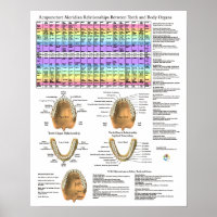Acupuncture Dental Teeth Meridians