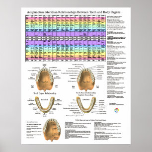 Acupuncture Dental Teeth Meridians Poster