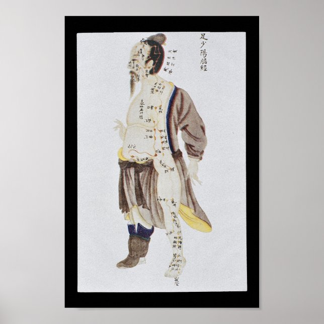 Acupuncture Gall Bladder Meridian Foot Shaoyang Poster (Front)