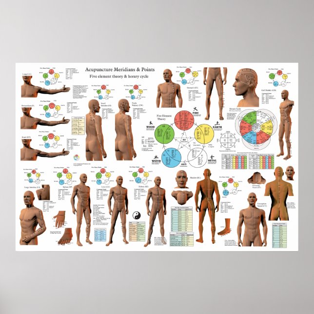 Acupuncture Meridian Point Locations Poster (Front)