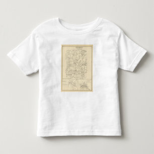 Acworth, Sullivan County Toddler T-Shirt