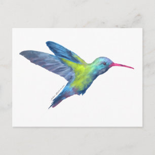 AD hummingbird Postcard