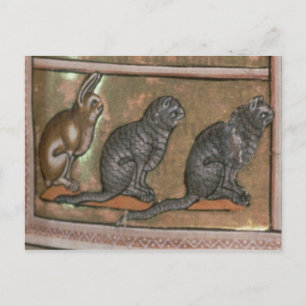 Adam naming the animals, of North Midlands Postcard