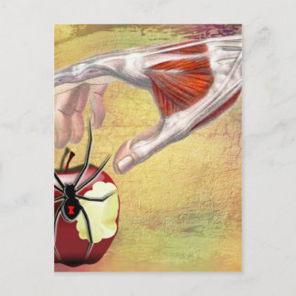 ADAM'S APPLE.jpg Postcard