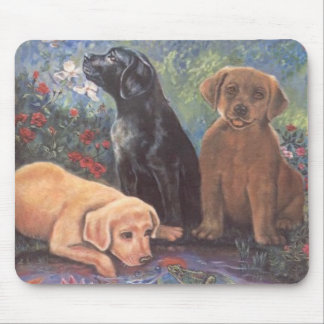 Adayatthepond Mouse Pad