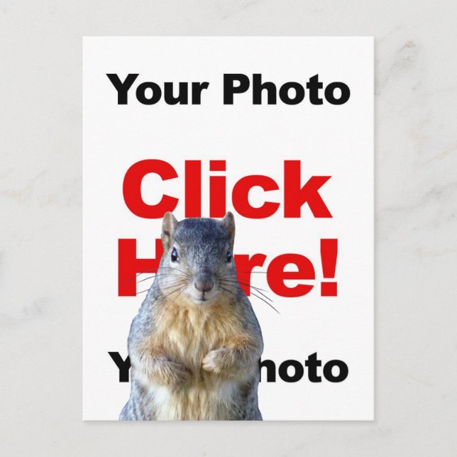 Add A Squirrel Custom Photo Postcard (Front)