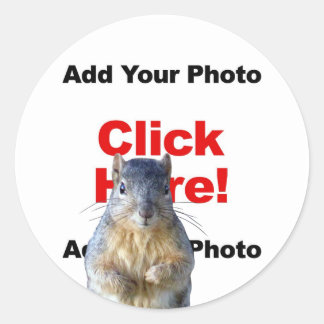 Add A Squirrel Custom Photo Sticker