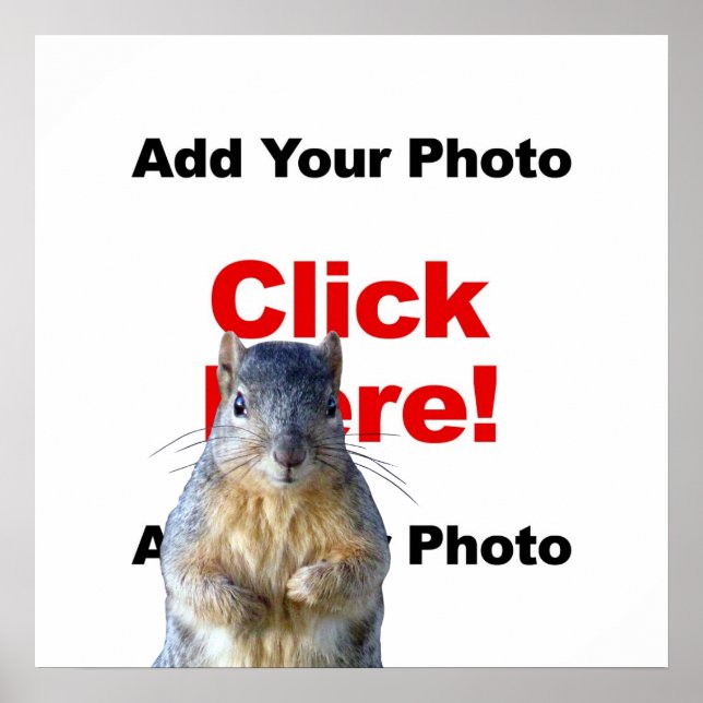 Add A Squirrel Custom Poster (Front)
