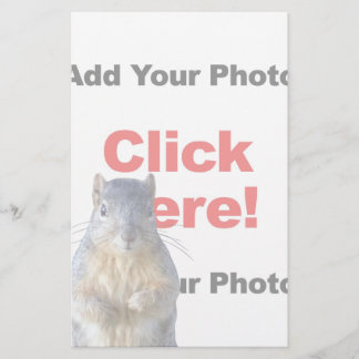 Add A Squirrel Custom Stationery