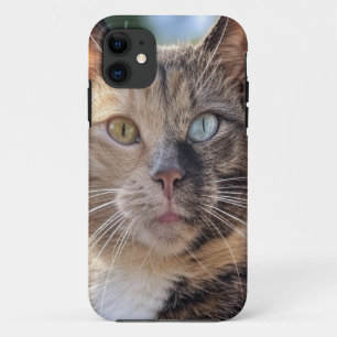 Add Cat Photo Customise Case-Mate iPhone Case