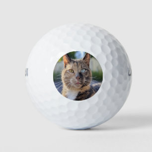 Add Cat Photo Customise Golf Balls