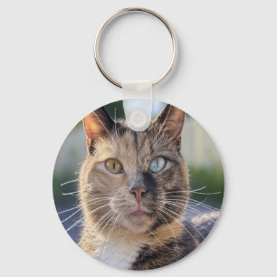 Add Cat Photo Customise Key Ring