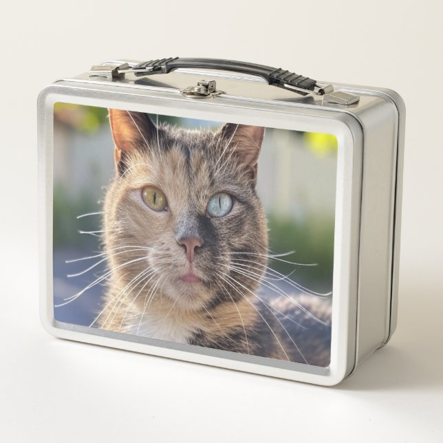 Add Cat Photo Customise Metal Lunch Box (Front)