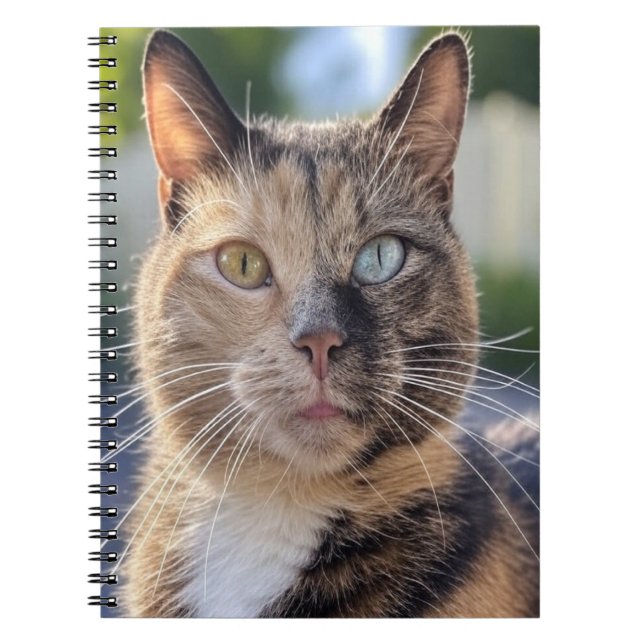Add Cat Photo Customise Notebook (Front)