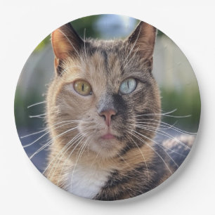 Add Cat Photo Customise Paper Plate