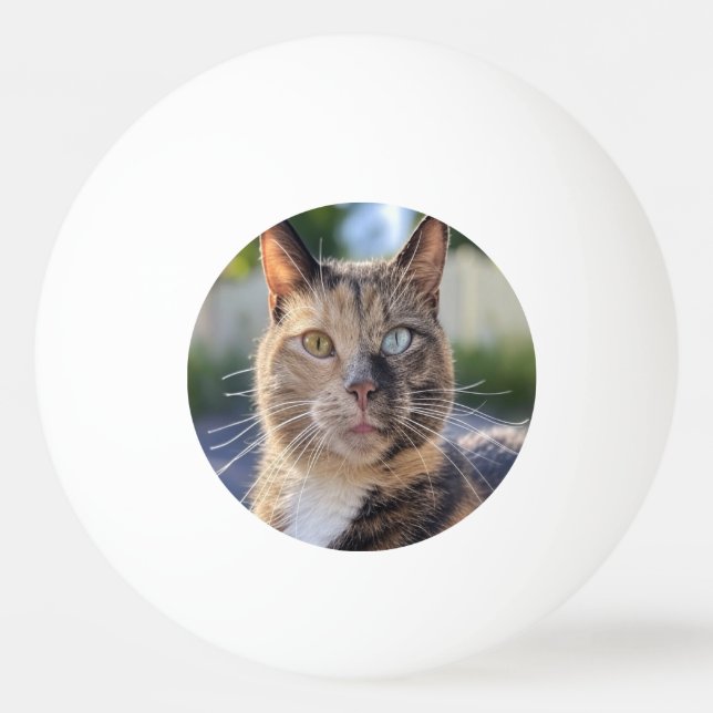 Add Cat Photo Customise Ping Pong Ball (Front)