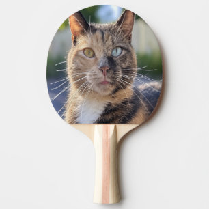 Add Cat Photo Customise Ping Pong Paddle