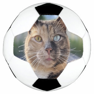 Add Cat Photo Customise Soccer Ball