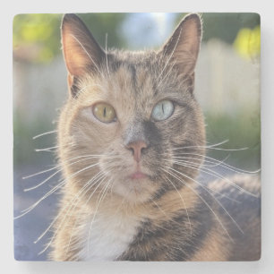 Add Cat Photo Customise Stone Coaster