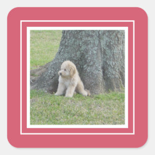 Add Custom Photo Template Hot Pink & White Square Sticker