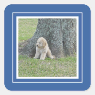 Add Custom Photo Template Royal Blue & White Square Sticker
