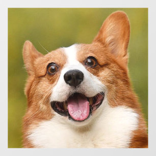 Add Dog Photo Personalised Customised