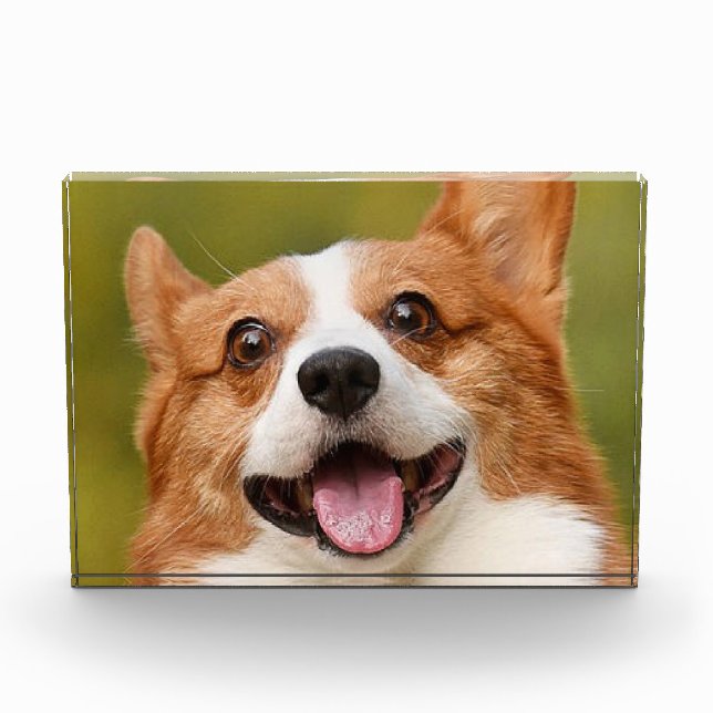 Add Dog Photo Personalised Customised Block (Front)