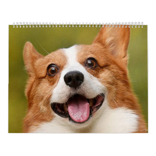 Add Dog Photo Personalised Customised Calendar