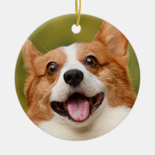 Add Dog Photo Personalised Customised Ceramic Tree Decoration